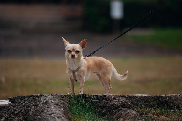 Comment le yoga améliore la santé émotionnelle